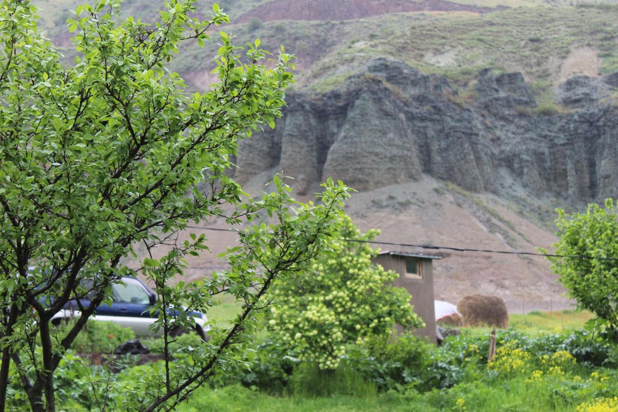 Tirebi Farmhouse Vardzia  Luaran gambar